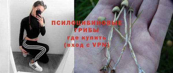 крисы Абдулино