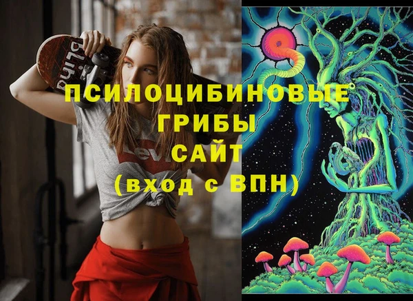 крисы Абдулино