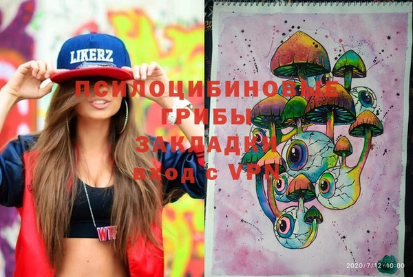 стаф Михайловка