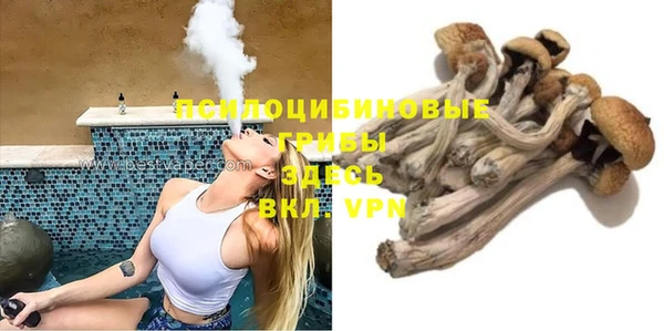 соль ск Медвежьегорск