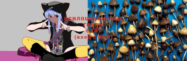 бутират Мегион